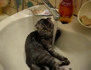 南方人洗澡不搓澡没有泥吗,南方人洗澡不搓澡身上有灰吗