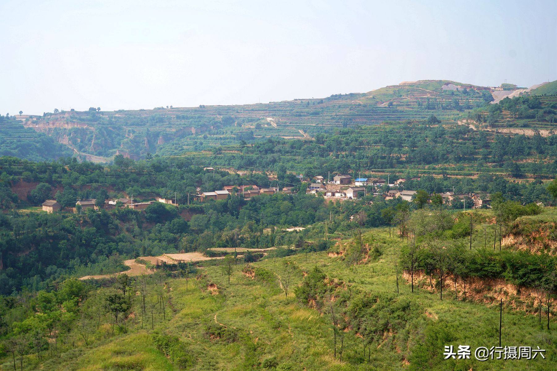 农民大姐家有“黑熊犬”，忠诚聪明1狗护全村，8万不卖