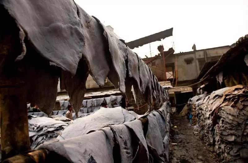 豆瓣9.1这部剧全程高能,豆瓣9.2分最好看的悬疑剧