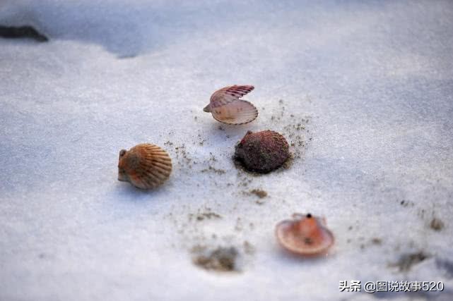 河北景区关闭最新通知,河北的景区关闭了吗