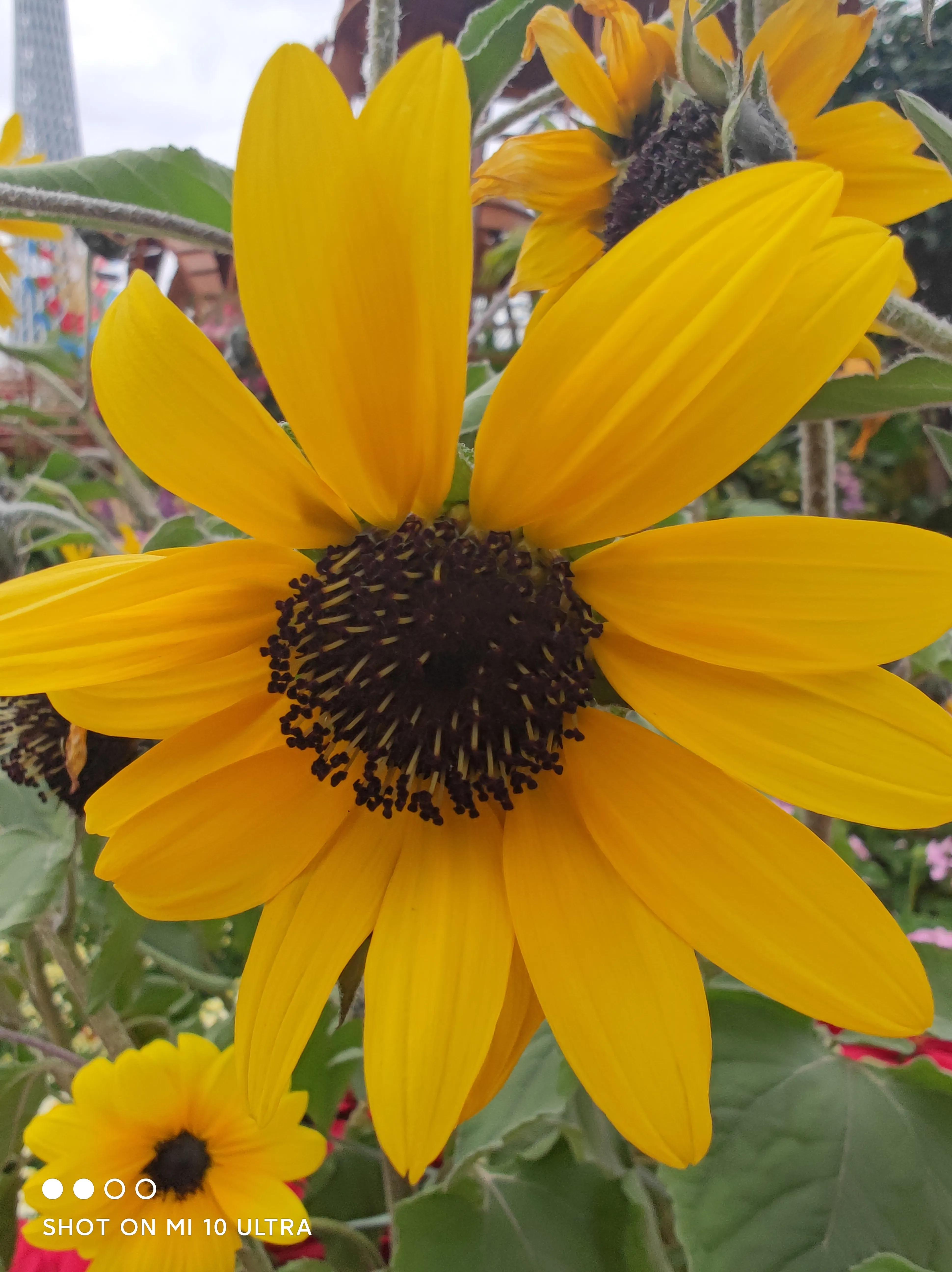 老子和易经智慧开启青年人成功之路