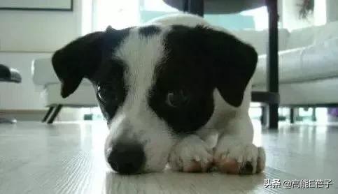 复仇方式电影,最狠的复仇方式电影