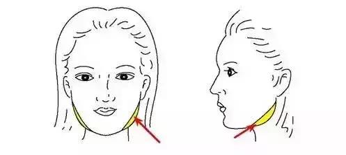 郑州瘦脸针维持时间,瘦脸针后咬肌变化图