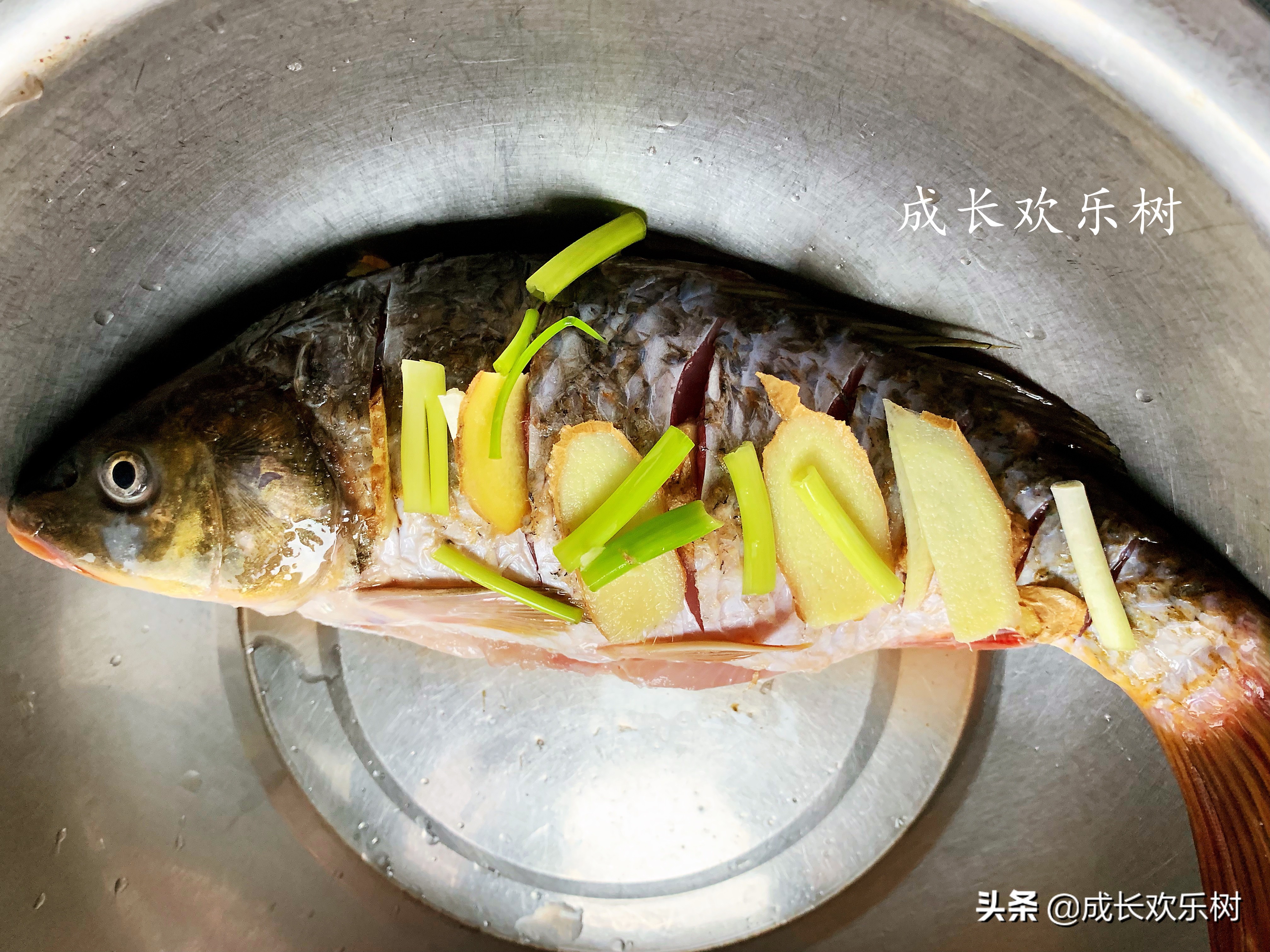 鲫鱼鱼腥味太重怎么处理,鲫鱼腥味怎么去除