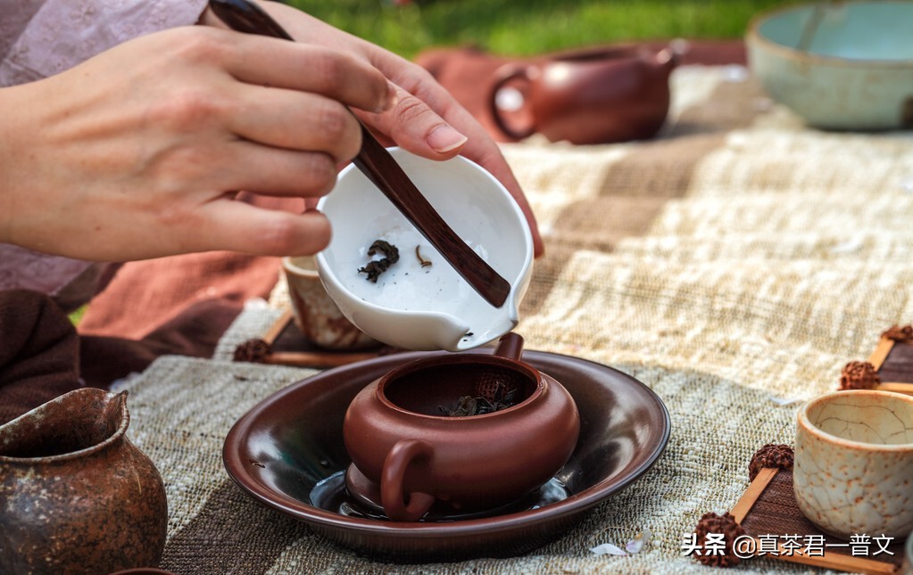 长期不喝黑茶会致癌吗,喝黑茶会致癌是真的吗