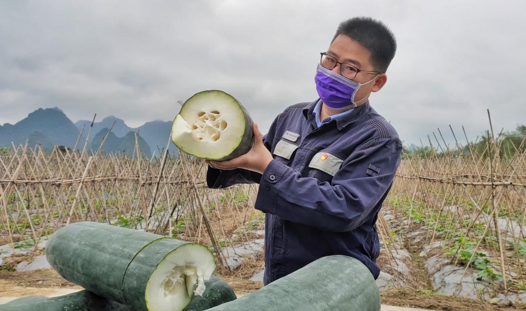 国网辽宁电力扶贫带货,电力扶贫带货记