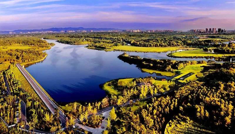 首付49万能买到什么车,首付59万买三居室