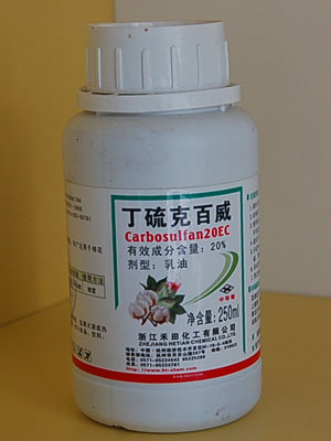 杀螨灭虱虫的特效药,专用杀螨杀虫剂有哪些