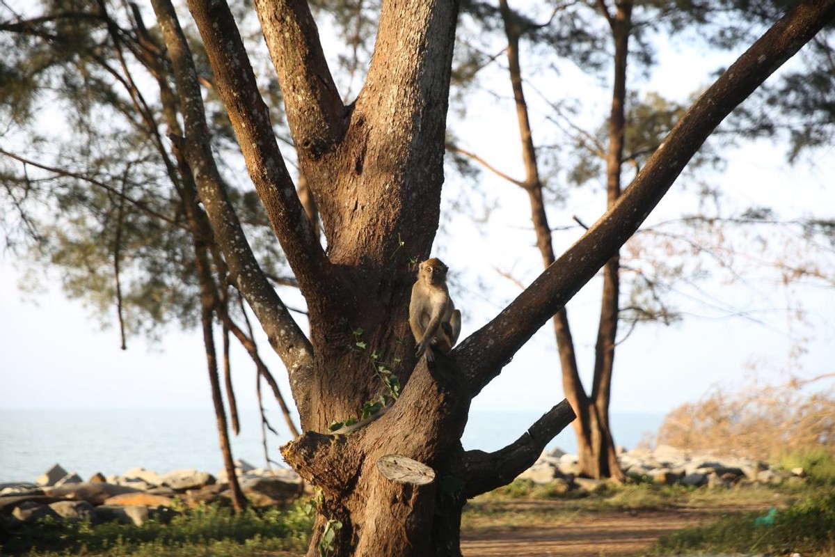 搴嗙涓煩寤轰氦30鍛ㄥ勾,涓ゅ浗寤轰氦涓夊崄鍛ㄥ勾搴嗙