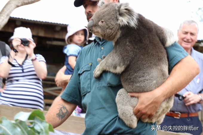 澳大利亚东南自驾游攻略,澳大利亚长途穿越自驾游