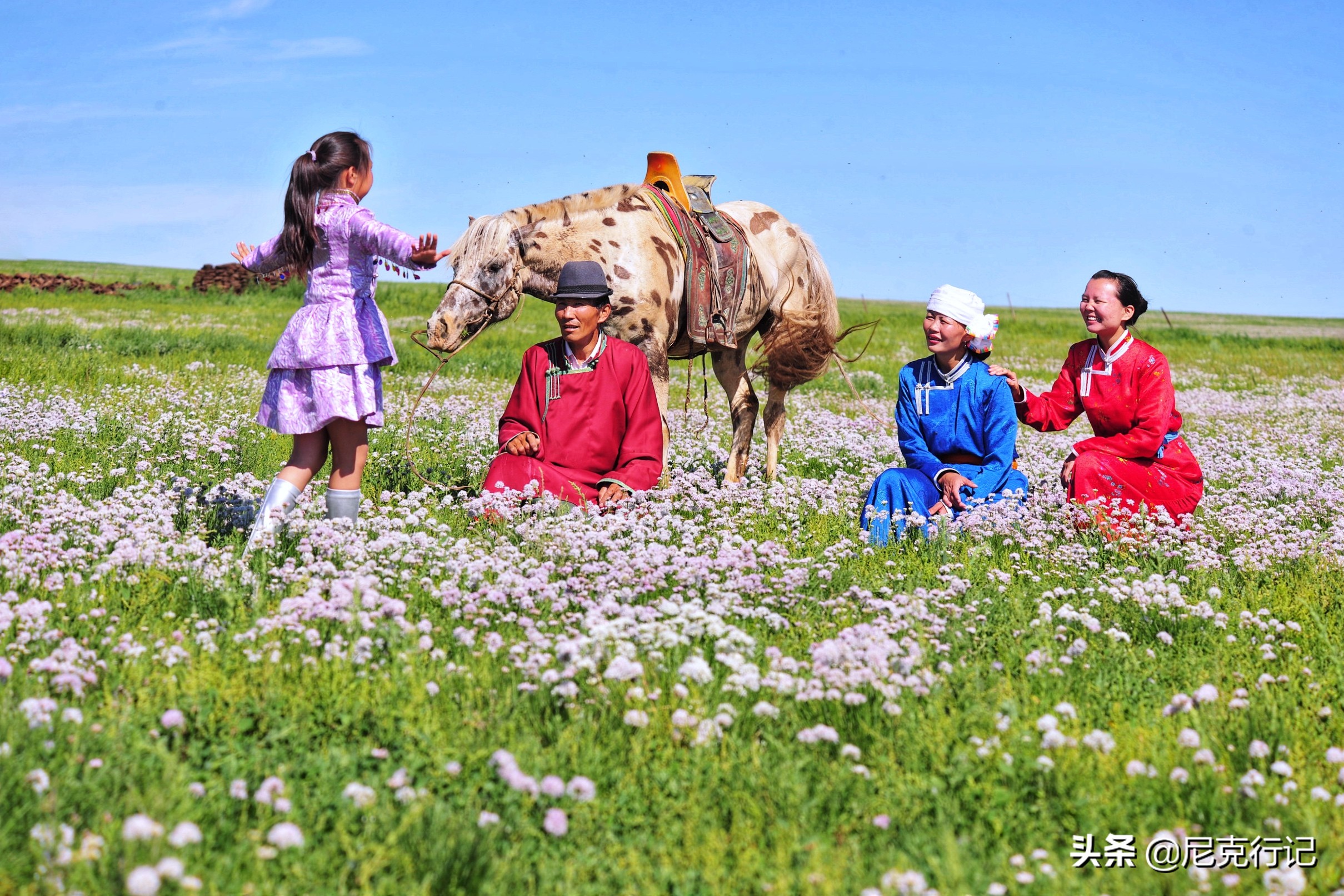 中蒙边境“五畜之家”，牛马羊驼价值500万，边境路用恐龙装饰