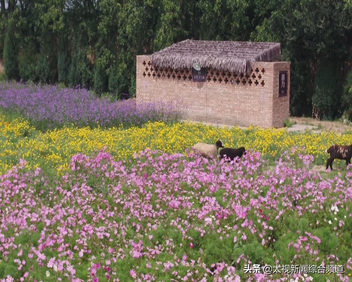 阳曲县简介,三晋首邑美丽阳曲