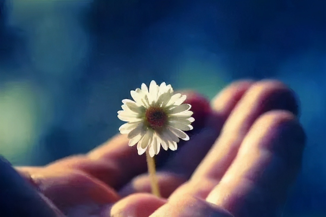 真正的善良是放弃自己所需要的,世上有一种善良叫不动声色却暖心