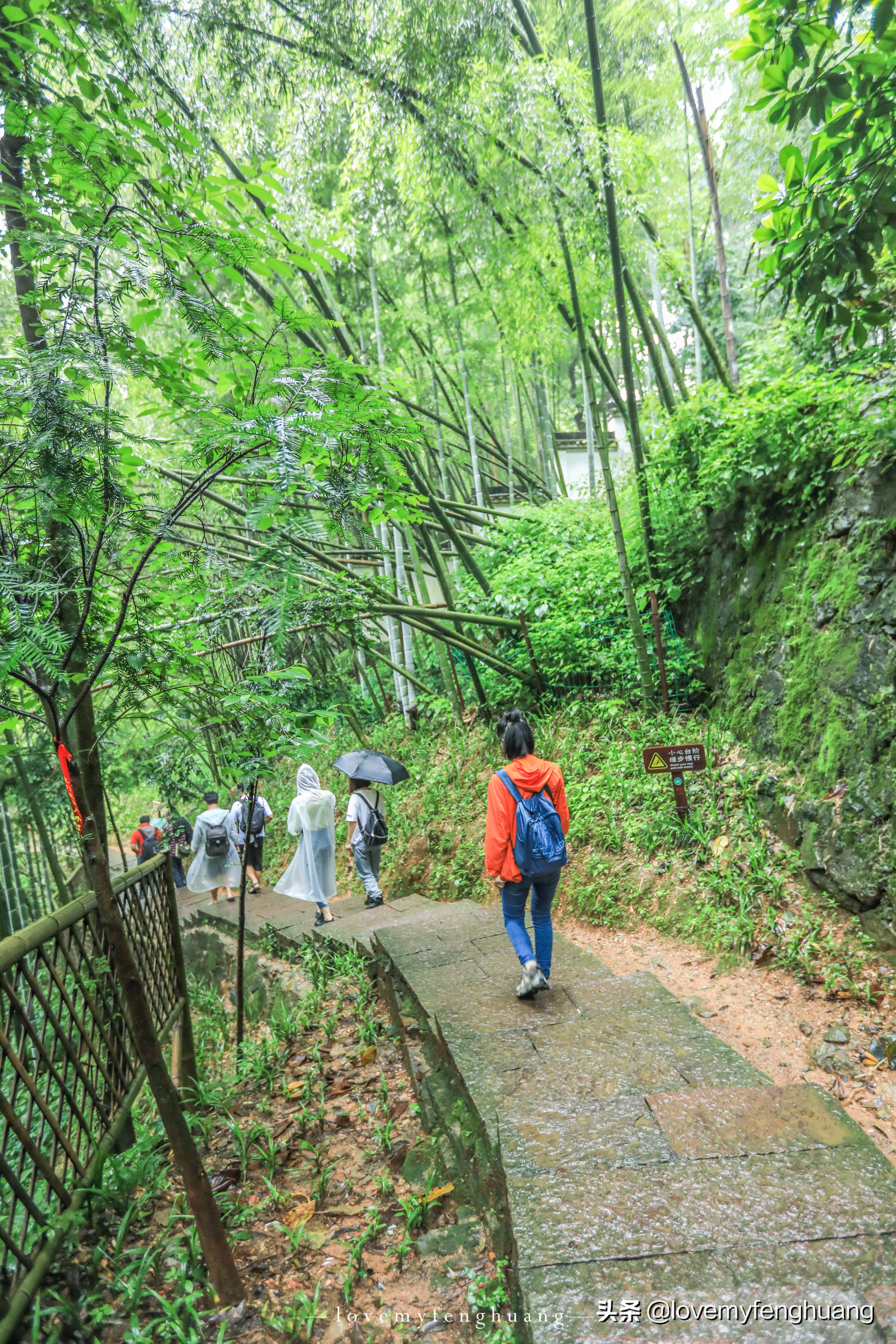 课本上的金华双龙洞,小学课文记金华的双龙洞原文