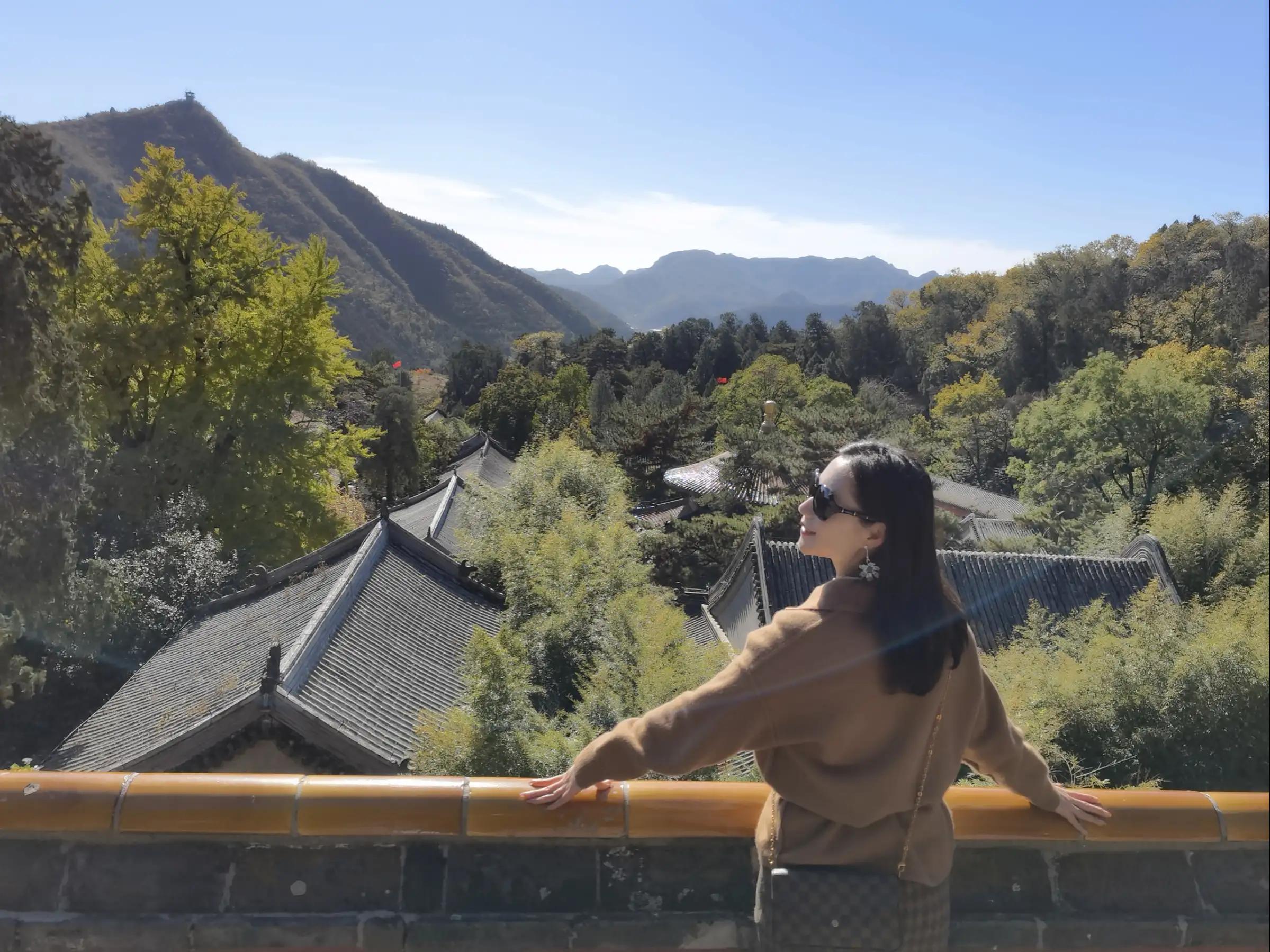 北京潭柘寺的古银杏树图片,潭柘寺银杏树观赏最佳时间