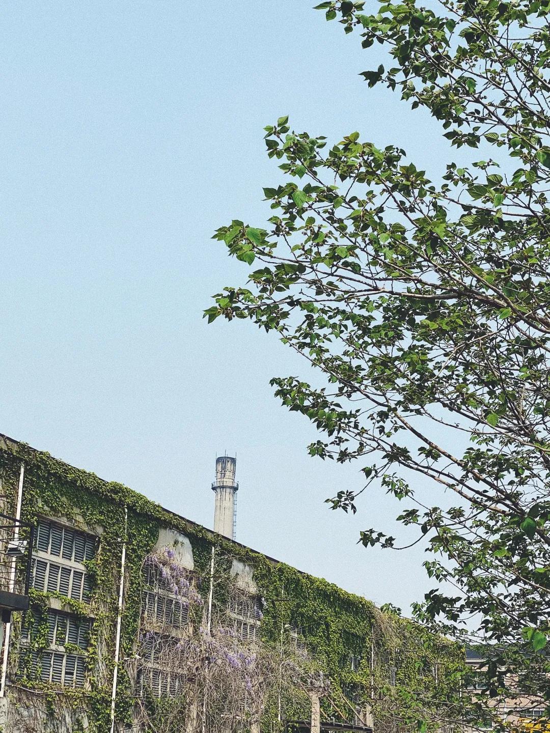 十大春夏好物,美妆博主春夏好物推荐