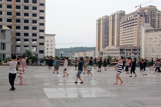 黄山的金凤凰,山沟里的金凤凰湖北