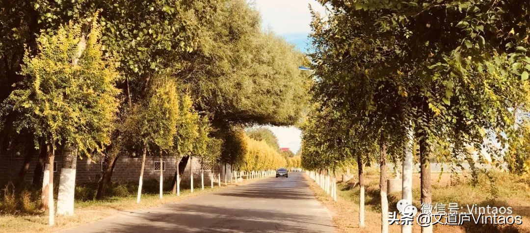 我和咖啡的故事,我和咖啡的故事大全