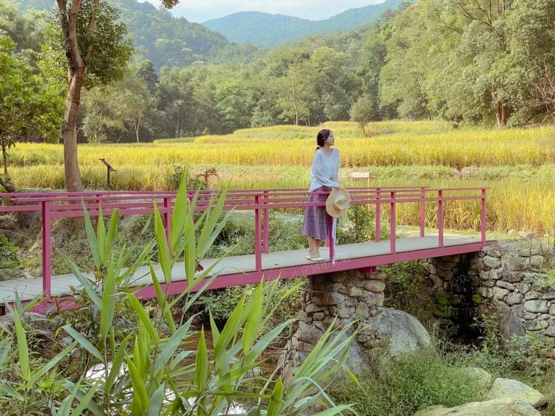 世外桃源亲子游玩好去处,近期广州既安全又好玩的亲子去处