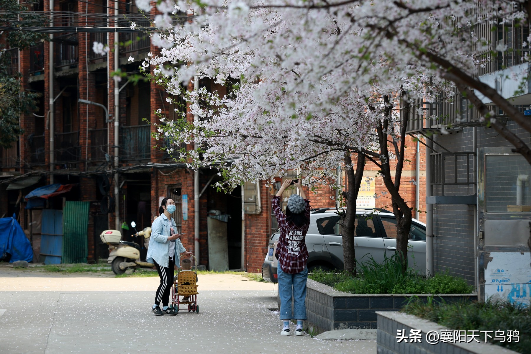 一些事情，谁都不愿意做，但总得有人去做