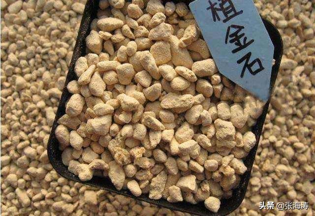 兰花种植什么样的风化石最好,兰花风化石种植技术