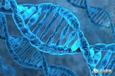 胰腺癌：起病急，死亡率高！有这3种症状需警觉