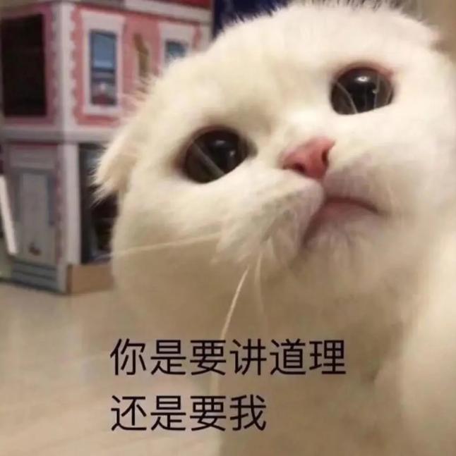 当你试图和你妈讲道理时你就错了,永远不要尝试和父母讲道理