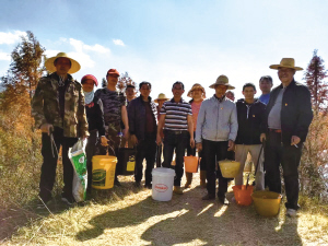 网红甸尾村在哪里,甸尾村网红