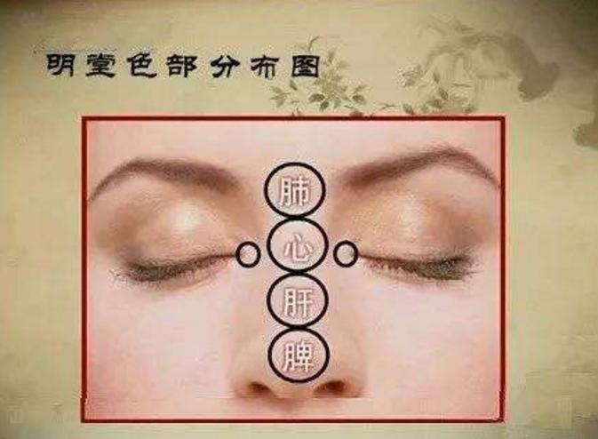 鼻根有青筋是什么病,心血管一根堵塞80%有什么症状