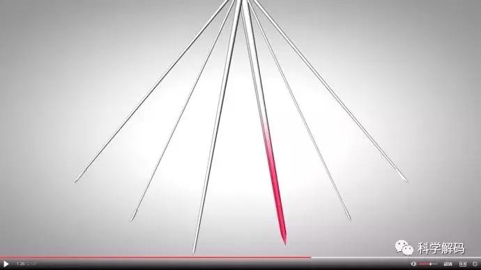 蚊子怎么咬人科普,蚊子解剖示意图