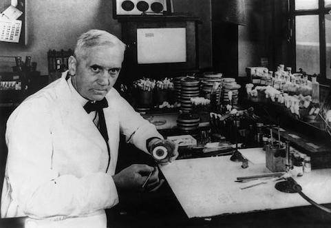 青霉素的发现过程给我们的启迪,青霉素是如何诞生的