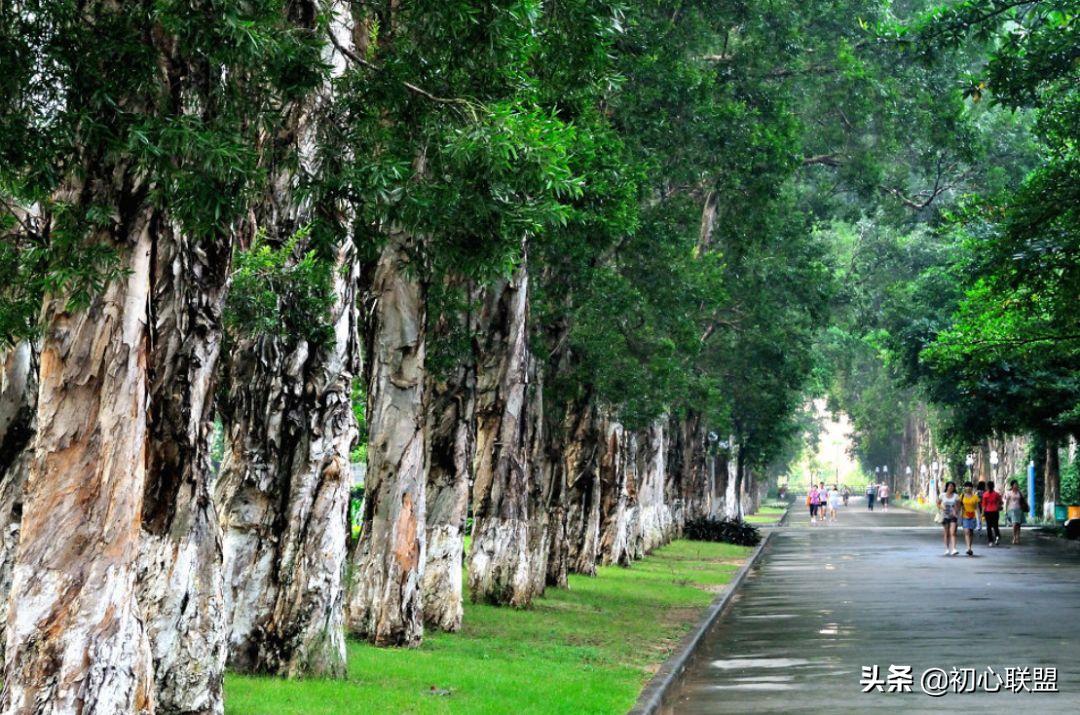 骞垮鏃ヨ鍙ｈ瘧涓撶,骞垮鏃ヨ缈昏瘧鍙ｈ瘧鐭ヤ箮