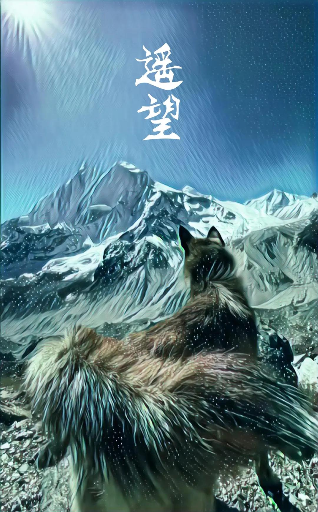 永远的冰川勇士气候英雄，他是喜马拉雅之子*藏西**冒险王