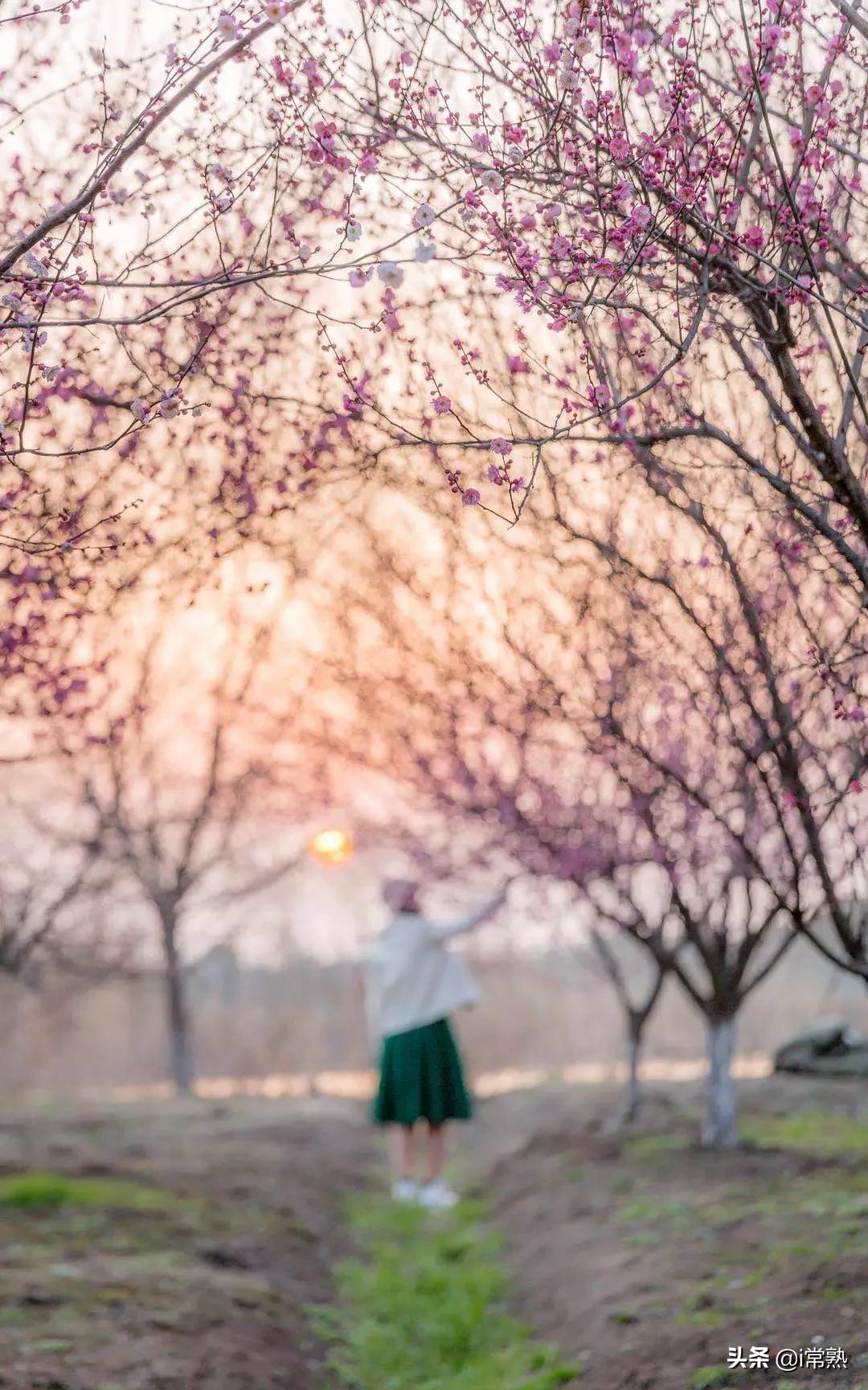 常熟旅游团春节,常熟旅游2日游