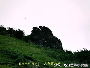 甘南则岔石林住宿,甘南则岔石林免票