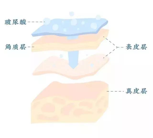 比茅台还暴利的品牌,每个女生的噩梦
