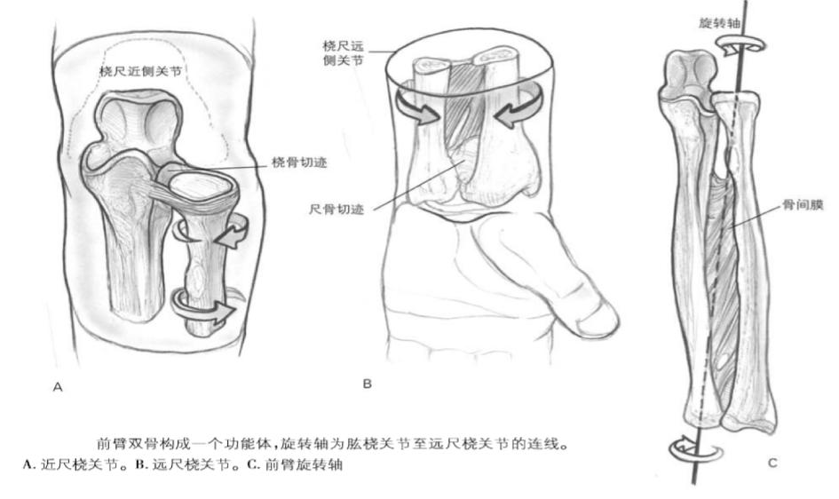 两个儿童前臂骨折争议病例之——元芳你怎么看