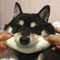 干货有哪些护肤品平价好用,护肤干货小知识