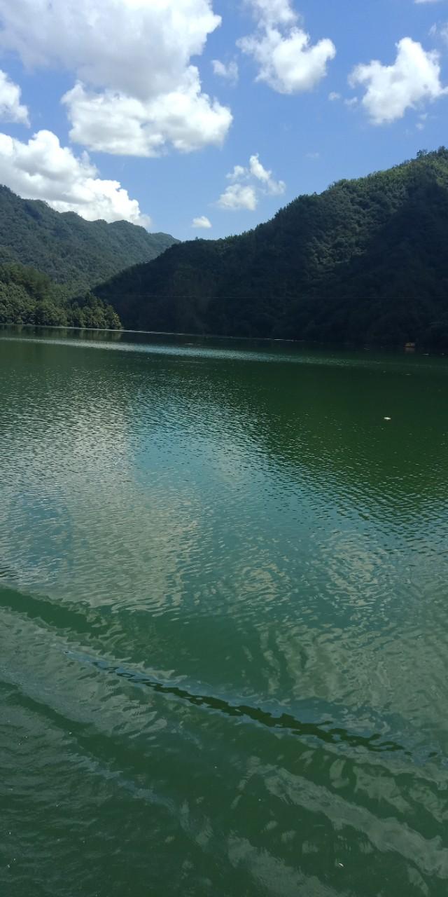 九州文学南京诗社作品,九州文学社作品