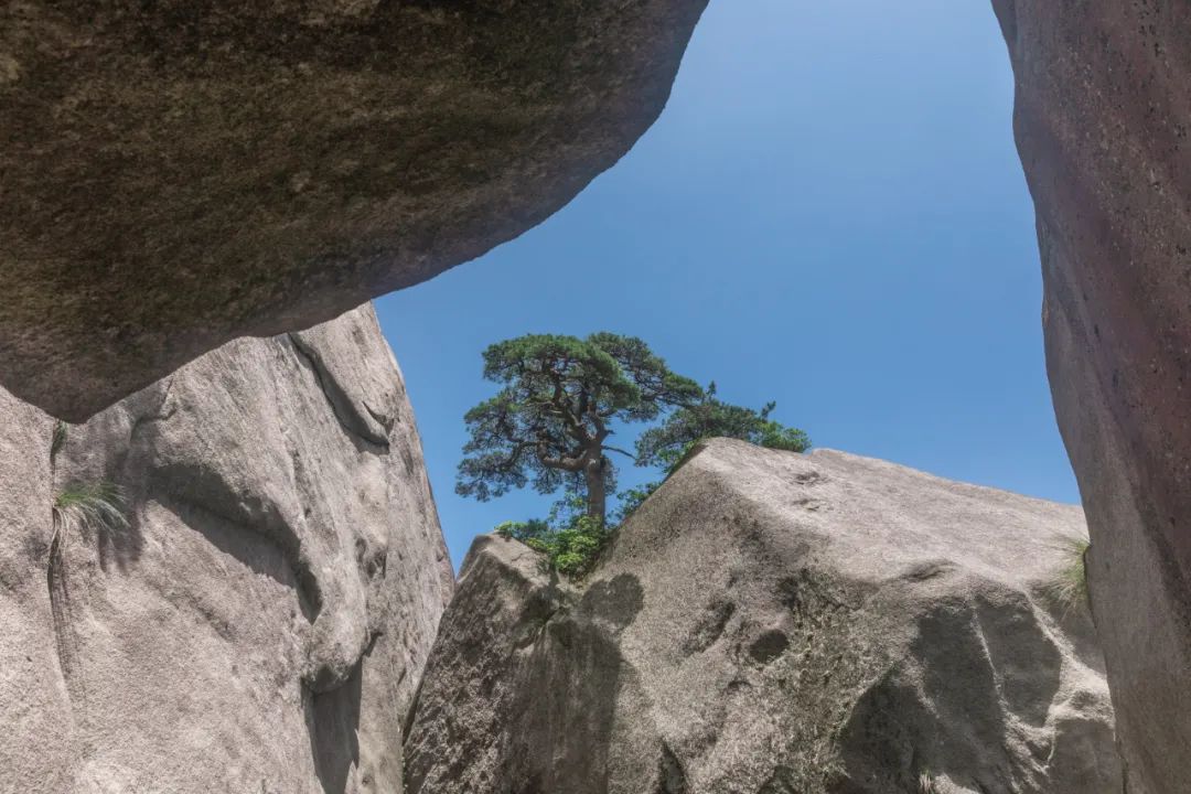 五岳中的南岳位于哪个省,九华山和天柱山哪座更值得游一游