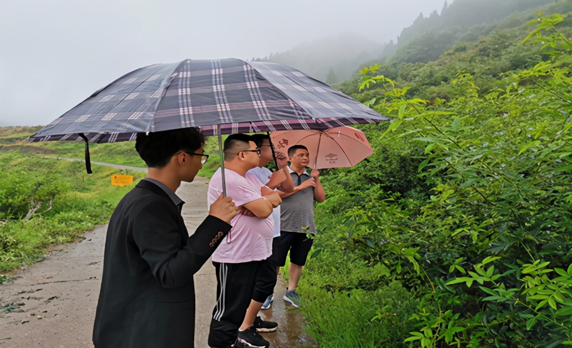 「技术」9-10月青花椒田间管理:连续降雨,警惕病虫害滋生