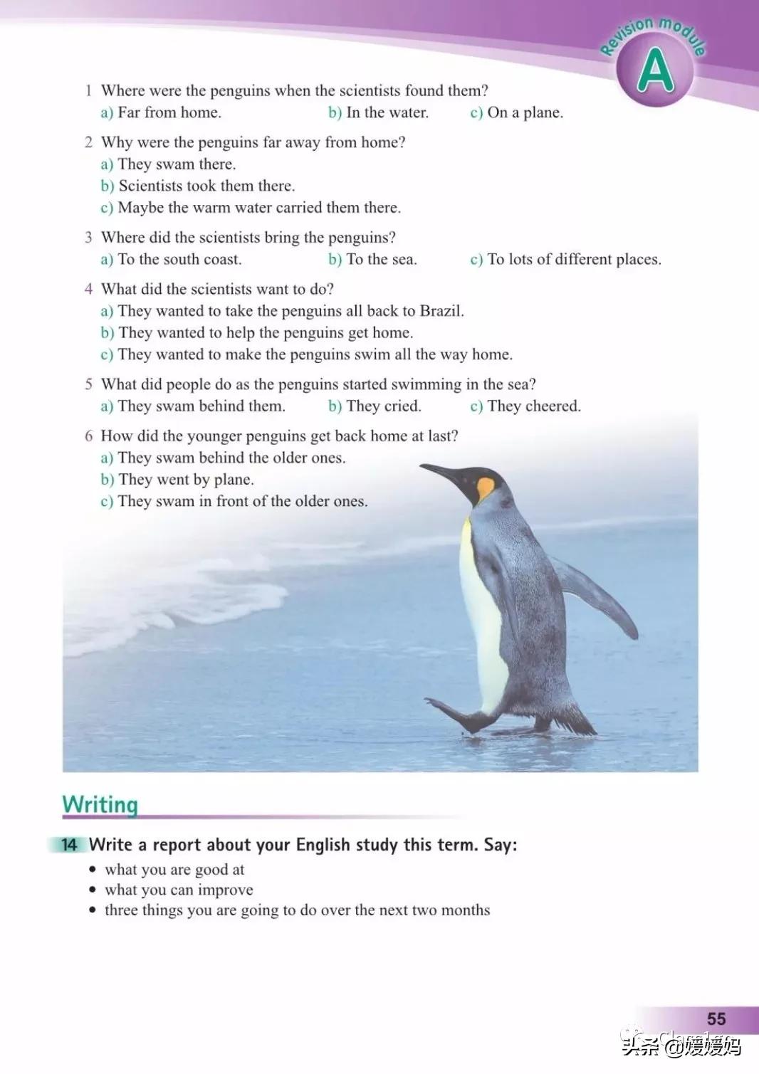 英语人民出版社八年级上册课本,人教版八年级上册英语电子课本