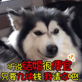 涂磊卖张裕,涂磊老师卖的红酒