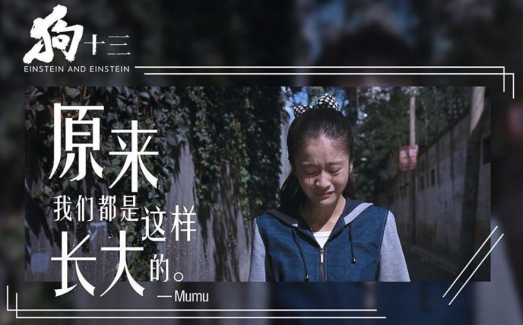 2018年热门电影总结,2018年终总结电影