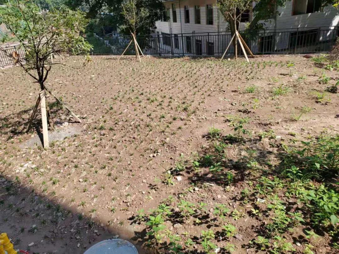 重庆沙坪坝刚交房的小区,重庆沙坪坝区接房信息