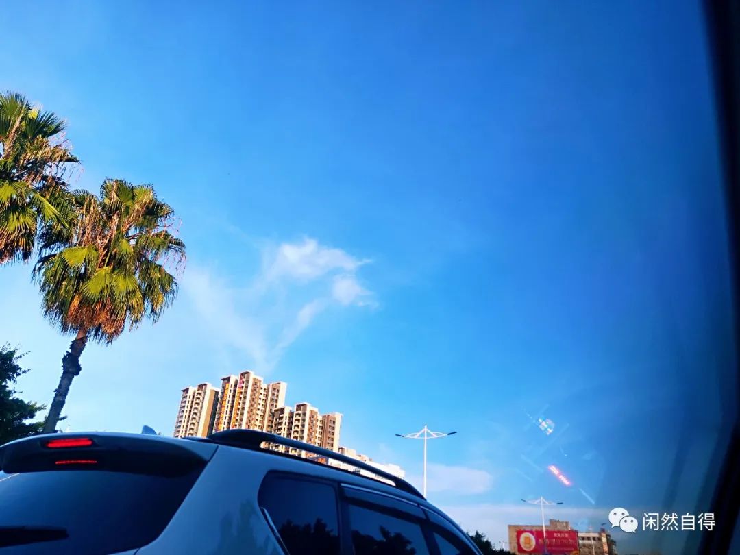 生活明朗万物可爱头像,生活明朗万物可爱文案