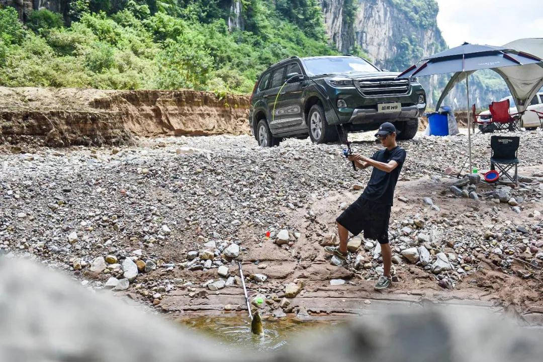 张家界天门山怎么玩,张家界天门山风景区怎么玩