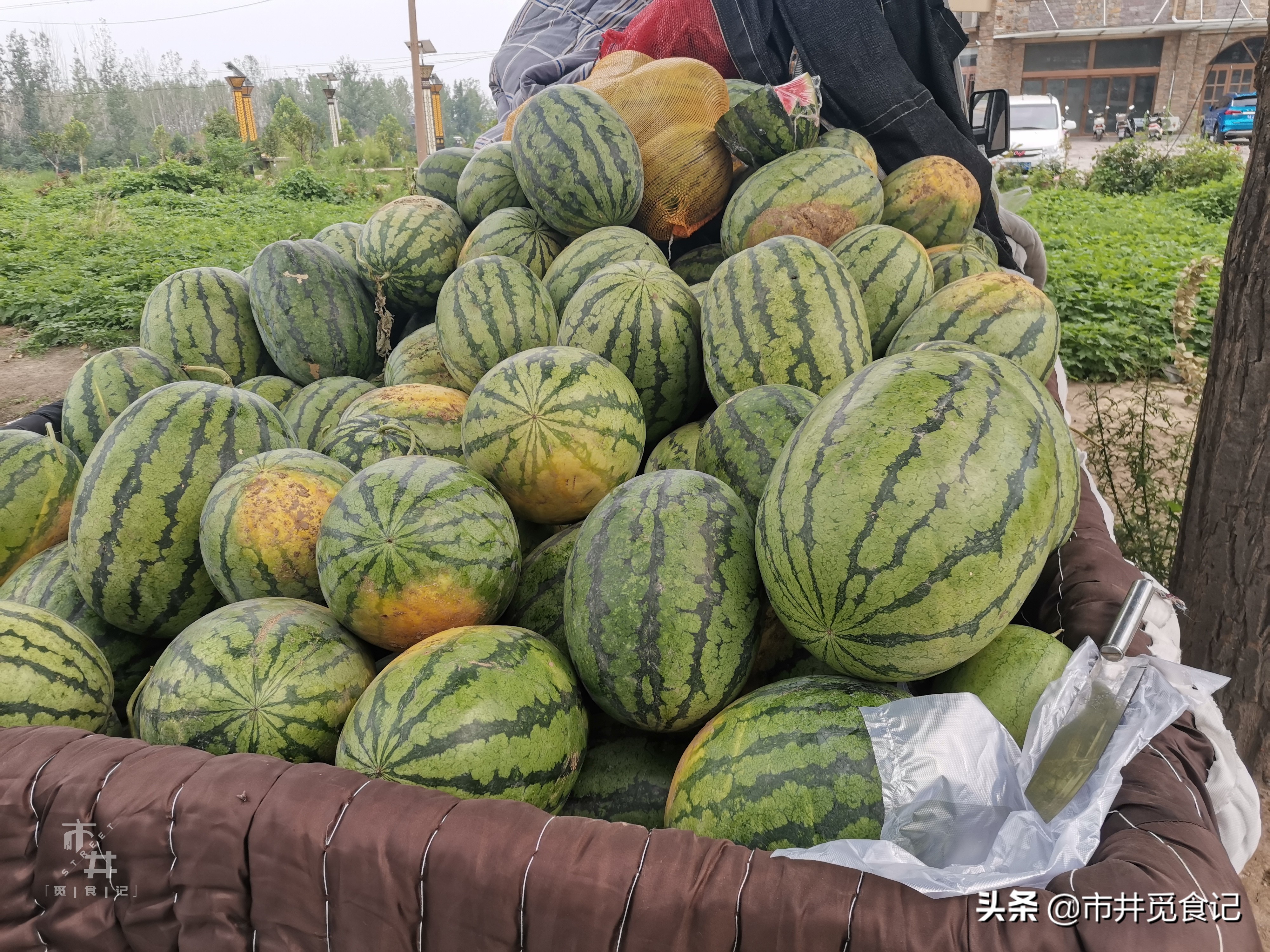 买西瓜要注意不要买到水,买西瓜皮薄怎么办