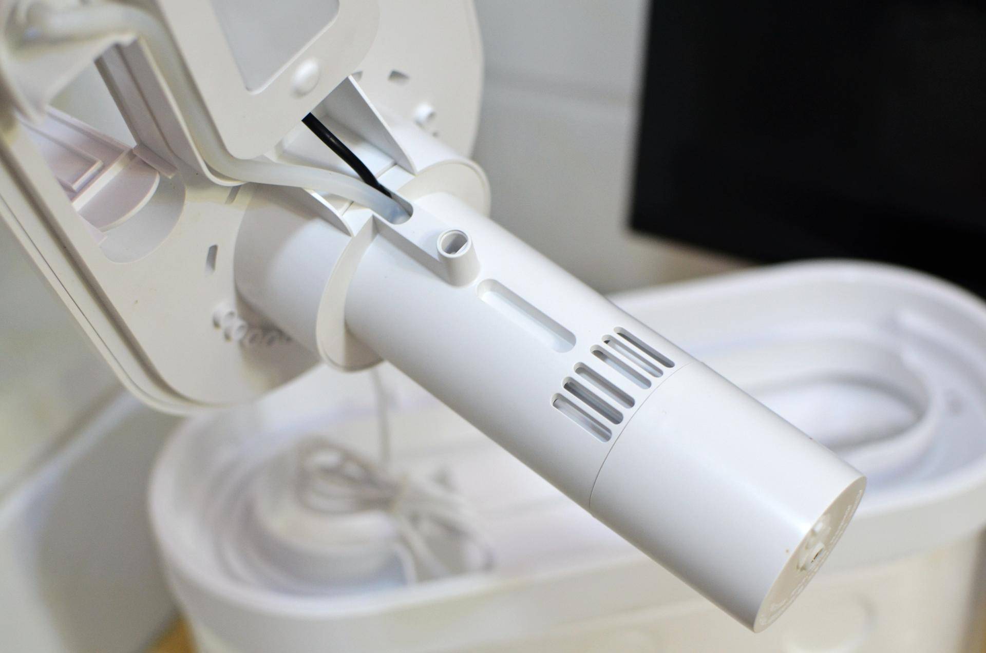 小米生态鱼缸养巴卡雷龙,小米生态缸养鱼入门基础教程