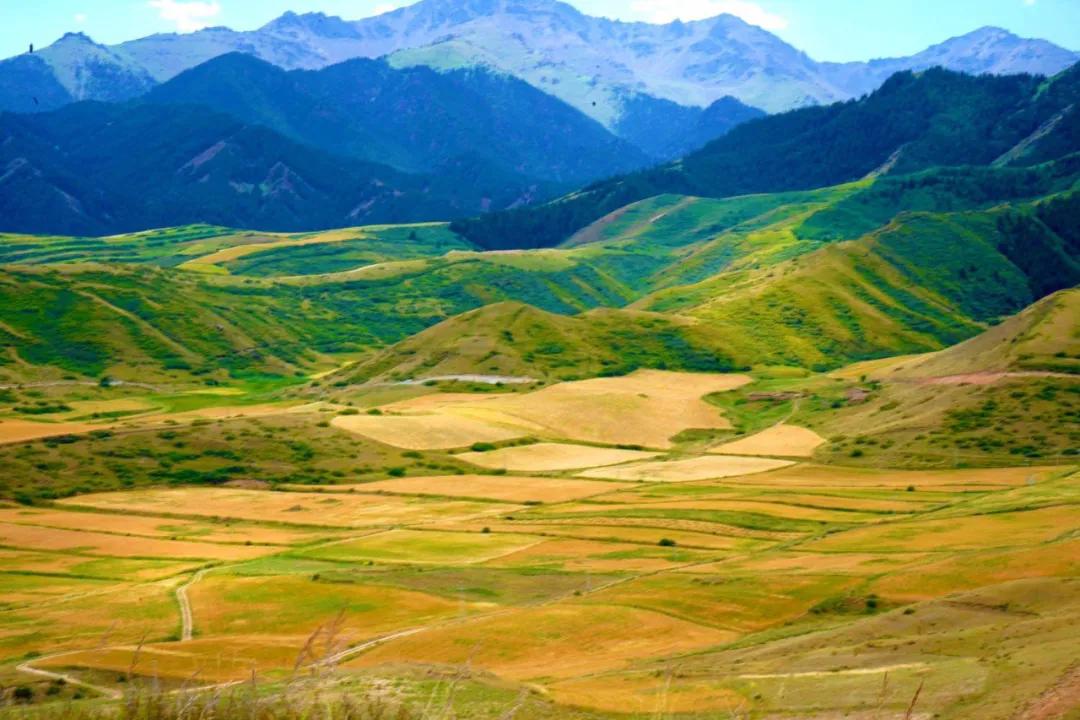 春节吉木萨尔周边游,6月份吉木萨尔周边一日自驾游